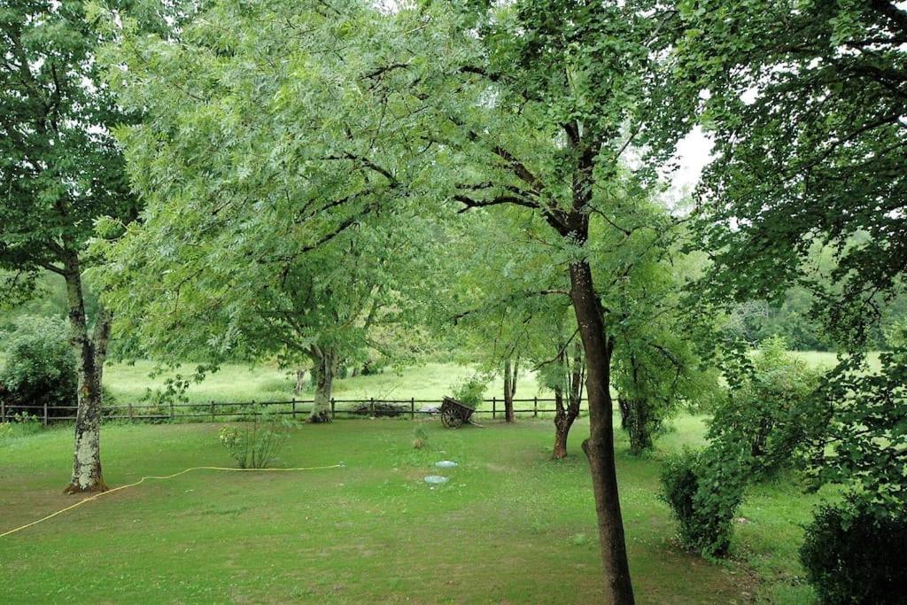 Gite De Charme A 15Mn De Bordeaux Autonomie 100% Camblanes-et-Meynac Buitenkant foto