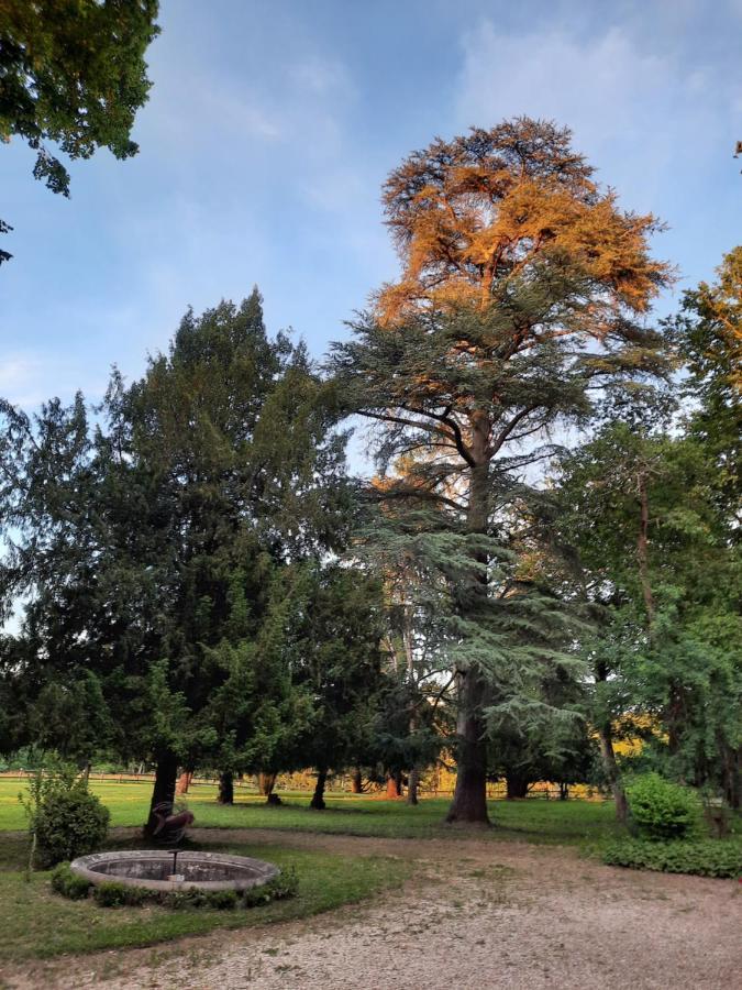 Gite De Charme A 15Mn De Bordeaux Autonomie 100% Camblanes-et-Meynac Buitenkant foto